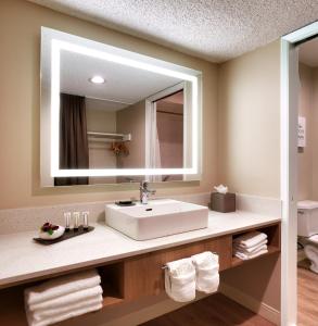 a bathroom with a sink and a mirror at Atrium Hotel Orange County in Irvine