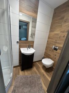een badkamer met een wastafel en een toilet bij Noclegi Europol in Siemianowice Śląskie