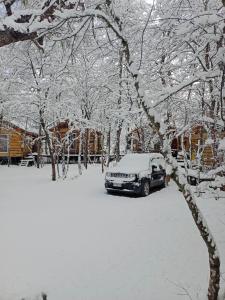 een auto geparkeerd in een tuin bedekt met sneeuw bij Cabañas Huilipan in Las Trancas