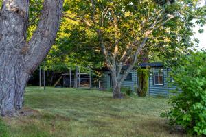 a blue house with two trees in front of it at Cozy Cabin Suites, Sooke, Bc in Sooke