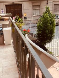 Un balcón con plantas y un árbol de Navidad. en Casa Vittorio, en Turín