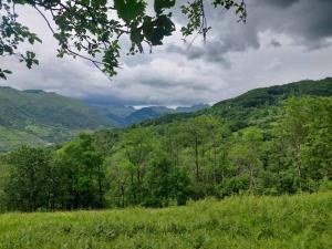 widok na dolinę z górami i drzewami w obiekcie Etno selo Šapat w mieście Šavnik
