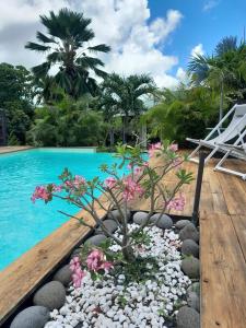 - une piscine avec des fleurs et des rochers à côté d'une piscine dans l'établissement Villa Lovely, à Saint-François