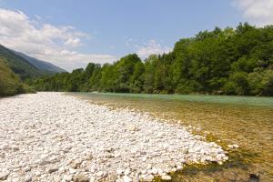 a river filled with lots of rocks and trees at Apartments Maligoj in Tolmin