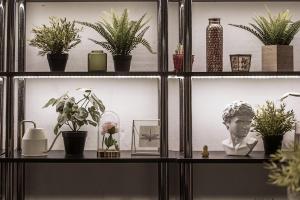 a shelf with plants and other items on it at Travel & Live Porto Hostel in Porto