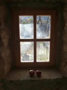 Foto dalla galleria di Vignjišta a Plužine