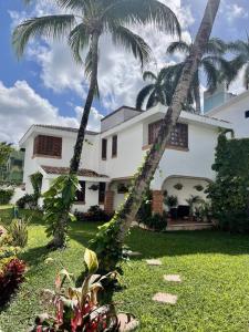 two palm trees in front of a house at Beautiful Jungle House on a strategic location in Cancún