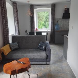 a living room with a couch and a table at Apartamenty u Gołębiewskich in Stara Kamienica +48 photos