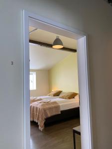 a bedroom with a bed and a large mirror at Fljótsbakki Hotel in Godafoss