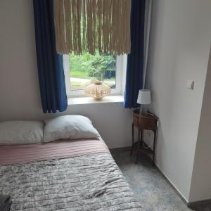 Schlafzimmer mit einem Bett und einem Fenster mit blauen Vorhängen in der Unterkunft Apartamenty u Gołębiewskich in Stara Kamienica