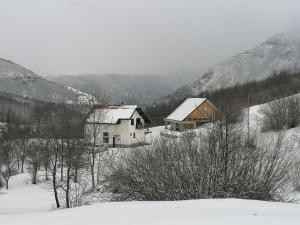 Vignjišta durante l'inverno