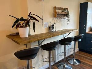a bar with stools and a potted plant on a counter at Entire Home in Middlesbrough
