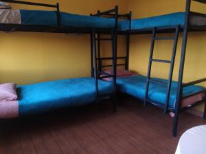 two bunk beds in a room with blue sheets at Hostal Alejandra in Sucre