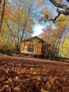 a log cabin in the woods with leaves on the ground at Cabañas Huilipan in Las Trancas