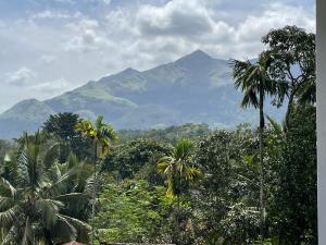 a mountain in the distance with trees and palm trees at Peppercorn Cottage, Vythiri. in Vythiri