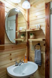 La salle de bains est pourvue d'un lavabo et d'un miroir. dans l'établissement Halfmoon Hideaway-Cozy 2 bdr cabin Mena AR, à Mena