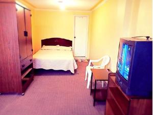 ein Hotelzimmer mit einem Bett und einem TV in der Unterkunft Hotel Presidente in Quito