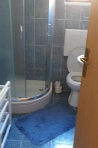 uma casa de banho com um chuveiro e um WC com tapetes azuis em Apartments and rooms with parking space Sobra, Mljet - 18465 em Babino Polje