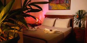 的住宿－Posada Pittier，一间卧室,配有一张带植物和灯的床