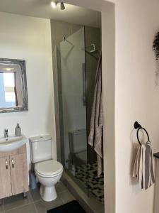 a bathroom with a toilet and a glass shower at The Green Room on Leo Epstein in Johannesburg