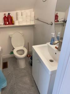 a bathroom with a white toilet and a sink at Quad Room with En Suite Bathroom 536A in Toronto