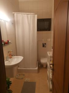 La salle de bains est pourvue d'un rideau de douche blanc et de toilettes. dans l'établissement A wonderful stay at the Dead Sea, à Sowayma