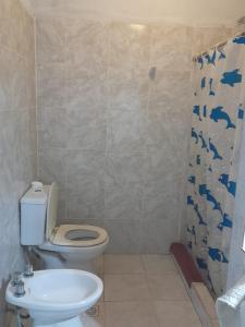 La salle de bains est pourvue de toilettes et d'un rideau de douche. dans l'établissement Dpto parque Avellaneda, à San Miguel de Tucumán