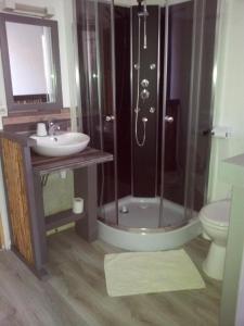 a bathroom with a shower and a sink and a toilet at Auberge Bella Riva in Creysse