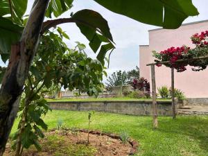 Amazing lake Victoria Villa, Entebbe في عنتيبي: حديقة بها زهور وردية في الفناء