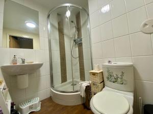 Koupelna v ubytování Lovely double room with private bathroom and Double room with shared toilet & PARKING FREE