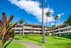 ラハイナにあるKaanapali Royal D101の建物前のヤシの木