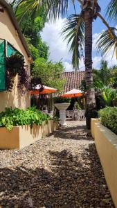 HOTEL NIETO MOMPOX, ubicado en el corazón del centro histórico, frente al rio magdalena en zona de malecón外面的花园