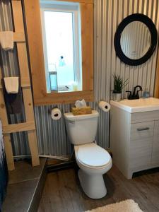 ein Badezimmer mit einem WC, einem Waschbecken und einem Spiegel in der Unterkunft The Piper Pad in Canal Flats