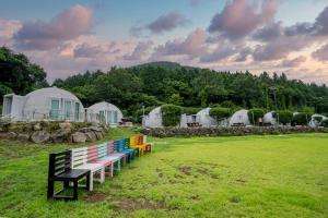 szereg kolorowych ławek w polu z namiotami w obiekcie Jeju Best Hill w mieście Czedżu