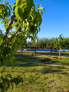 un parque con un árbol en primer plano en San Rafael en San Rafael