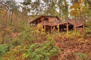 ein Blockhaus im Wald auf einem Hügel in der Unterkunft Graceful Light in Blue Ridge
