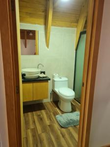 a bathroom with a toilet and a sink at Cabaña sueño real in Mazamitla