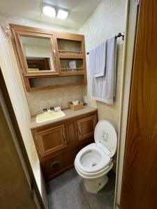 a small bathroom with a toilet and a sink at Salmon River RV camping in Mountain Grove