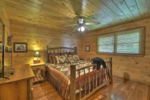 Un gatto nero è seduto su un letto in una cabina di Papa Bear Lodge a Blue Ridge