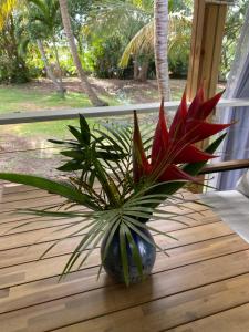 Giardino di Villa Gaïa - Bungalow Ti-Spa et son jacuzzi privé dans un jardin tropical, séjour en amoureux ou en famille