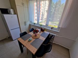 Kuchyň nebo kuchyňský kout v ubytování Apartmán U Petra