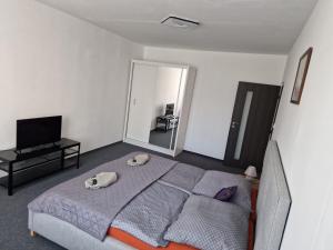 Postel nebo postele na pokoji v ubytování Apartmán U Petra
