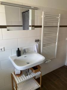 ZarrentinにあるSchaalsee-Appartementsのバスルーム(白い洗面台、鏡付)