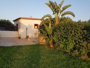 ein Haus mit einer Palme vor einem Hof in der Unterkunft la terra rossa in Bisciano