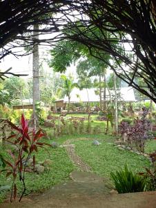 a garden with trees and grass and a path at Sumilir Riverside Retreat in Banyuwangi