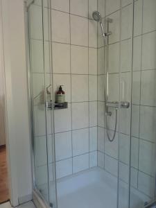 a shower with a glass door in a bathroom at Julia's Mosel Villa Appartement JULIA in Traben-Trarbach