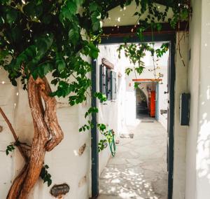 una porta per un edificio con un albero accanto di JAJA Studios Paros a Paroikia