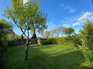 a green yard with a tree and a house at Fehmarn Ahoi FamKreil bis 6,5 Pers in Fehmarn