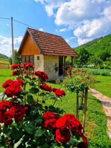 una piccola casa con rose rosse davanti di Taorska Vrela Apartman a Taor