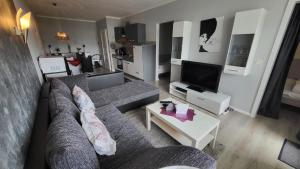 a living room with a couch and a tv at Ferienwohnung Bergwichtel Hahnenklee "super Aussicht" in Hahnenklee-Bockswiese